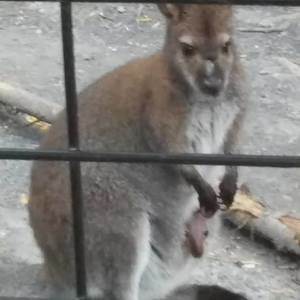 Meet your Posher, Steve